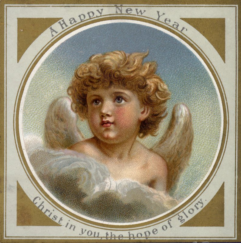 Angel by European School