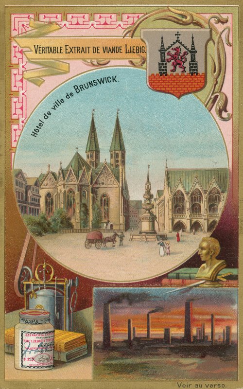 Brunswick by European School