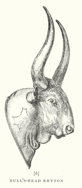 Bull