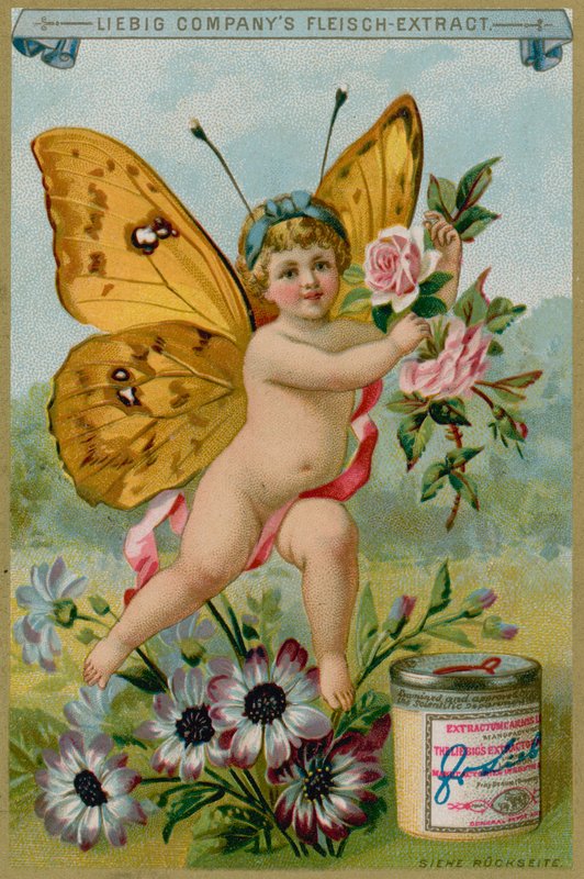 Butterfly Cherub with Daisies by European School