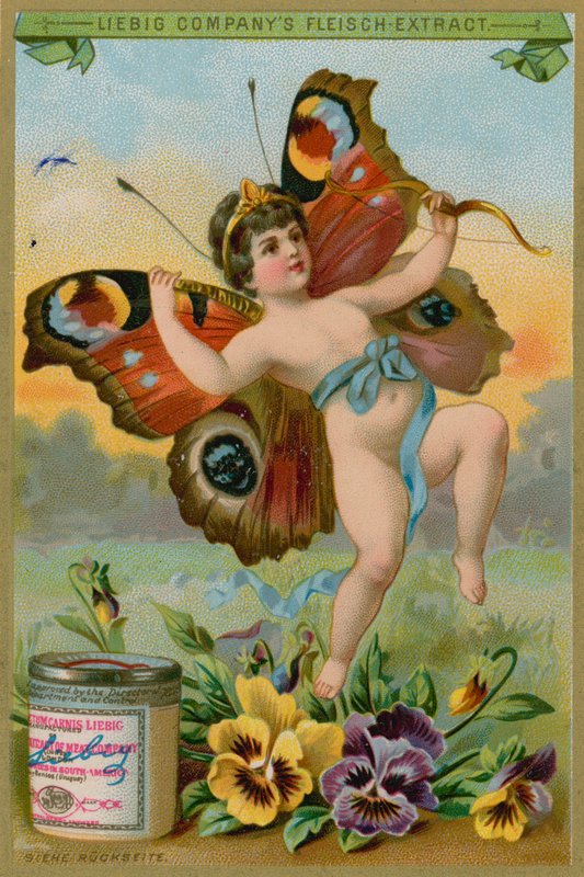 Butterfly Cherub with Pansies by European School