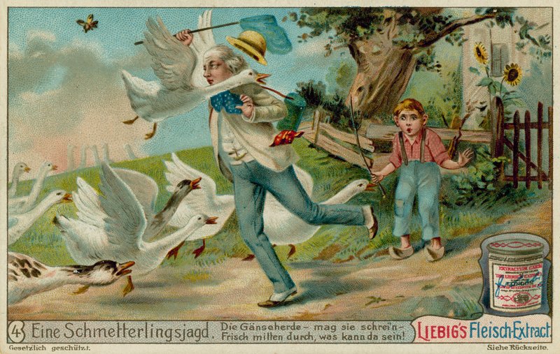Butterfly Hunting and Geese by European School