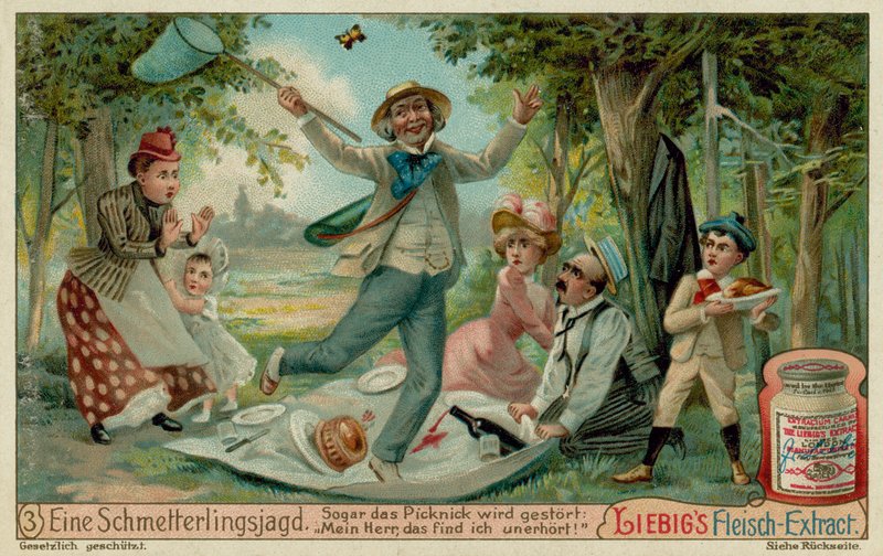 Butterfly Hunting and a Picnic by European School