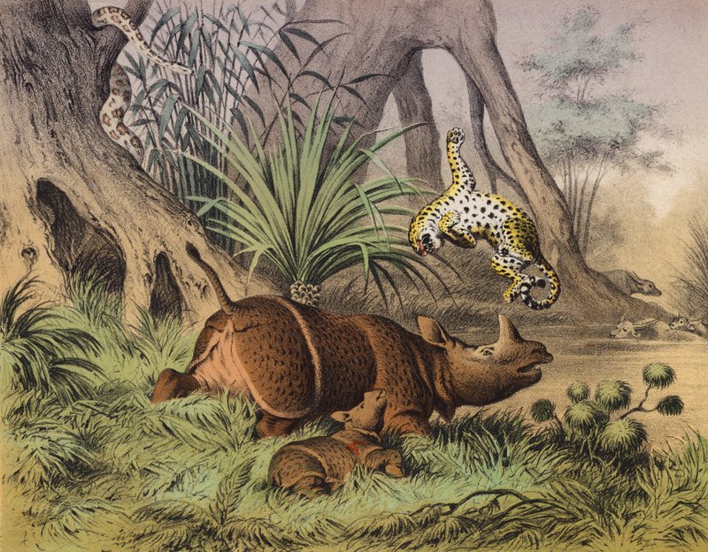 By an Indian river by European School