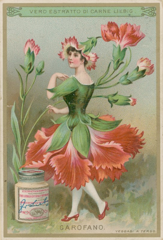 Carnation Flower Girl by European School