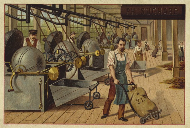 Cocoa processing plant by European School