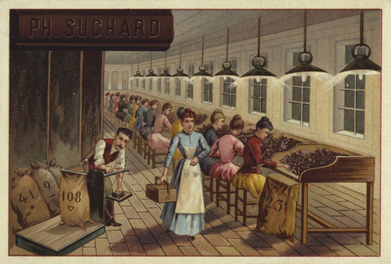 Cocoa processing plant by European School