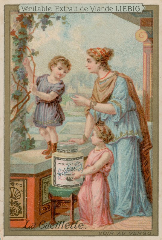 Collecting by European School