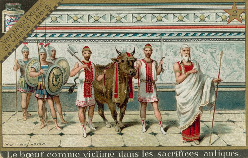 Cows in Ancient Rome by European School