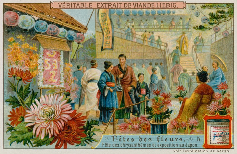Festivals of the Chrysanthemums in Japan by European School