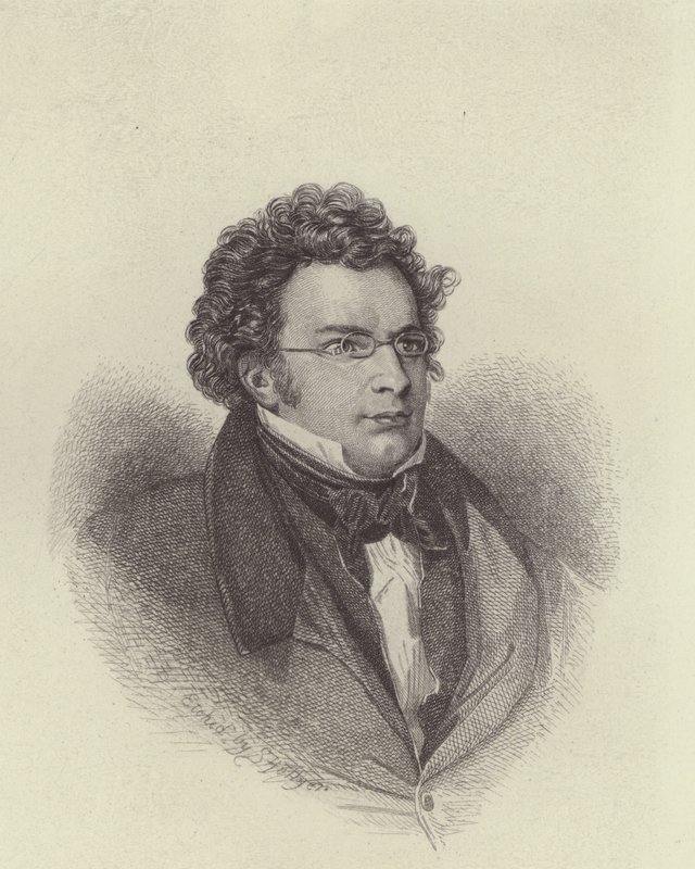 Franz Schubert by European School