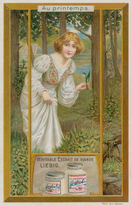 Girl with Snowdrops by European School