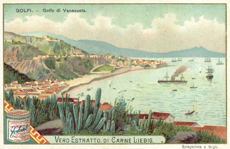 Gulf of Venezuela by European School