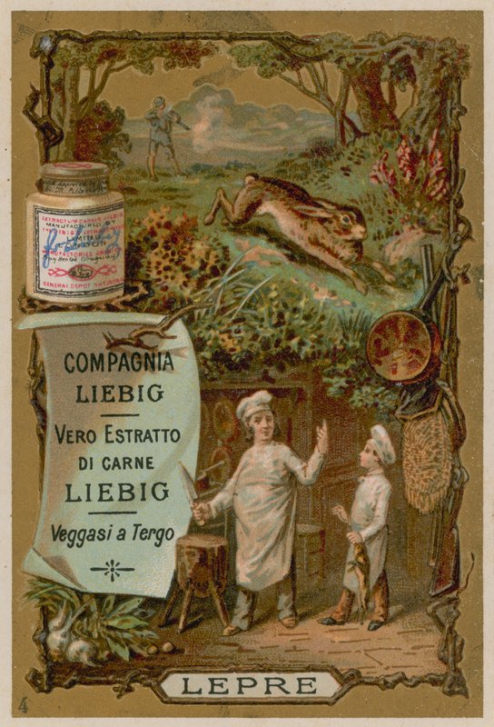 Hare by European School