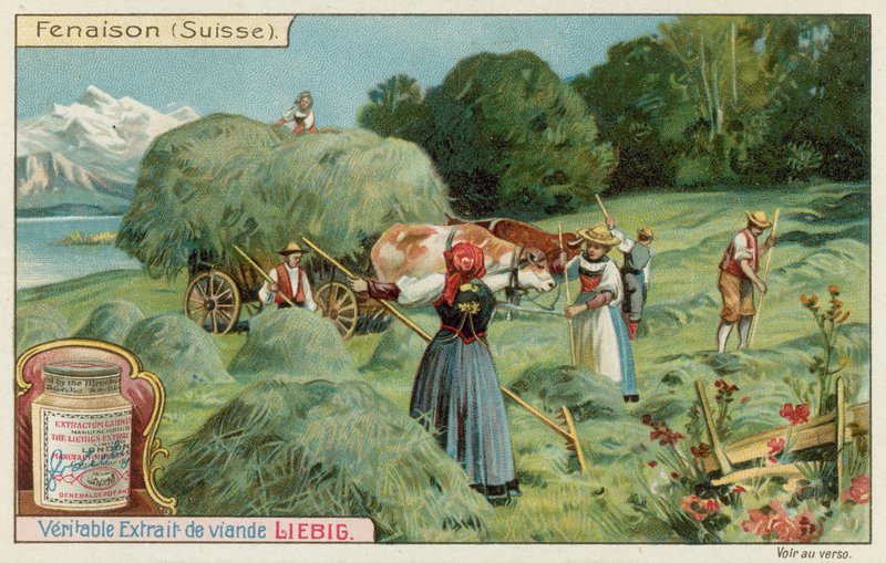 Haymaking in Switzerland by European School