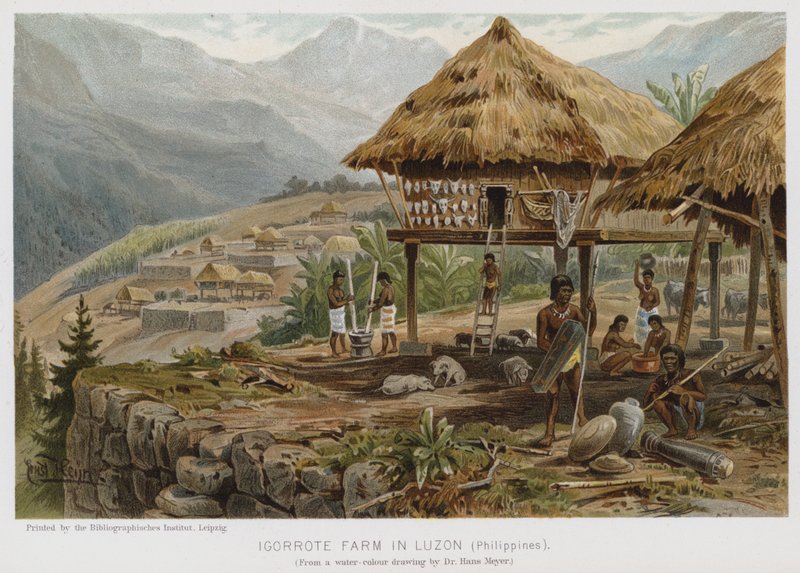 Igorrote Farm in Luzon, Philippines by European School