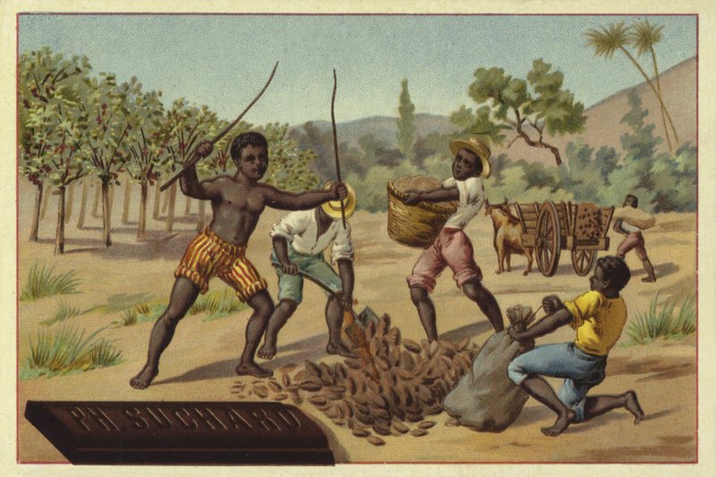Loading cocoa pods into sacks, Africa by European School