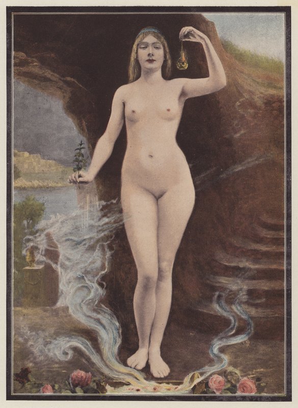 Modern Venus by European School