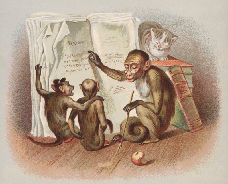 Monkey Teaching by European School