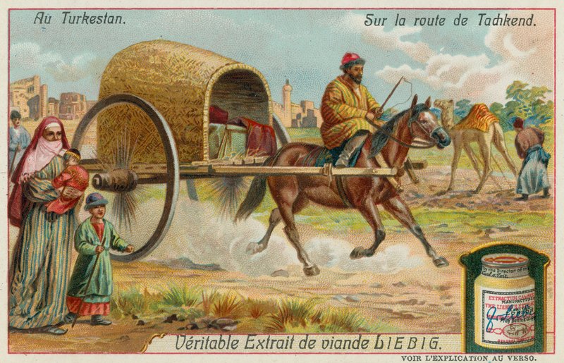 On the Road to Tashkent in Uzbekistan by European School