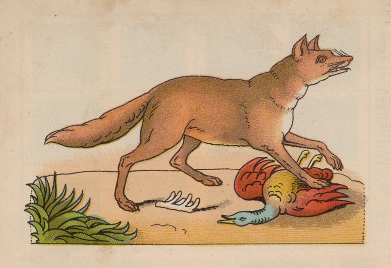 Page from the Magical Book by European School