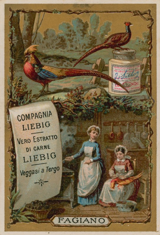 Pheasant by European School