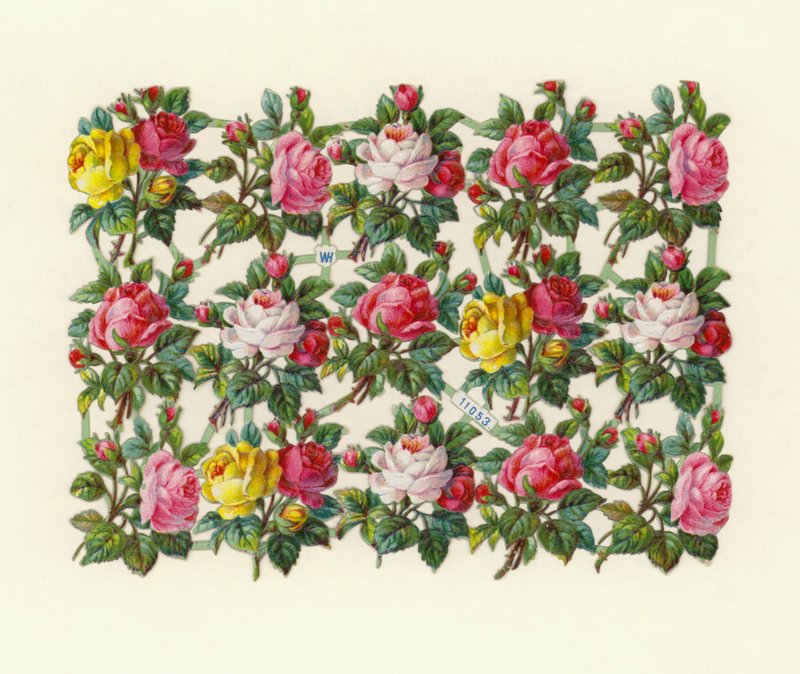 Roses by European School