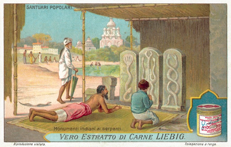 Snake Monuments in India by European School