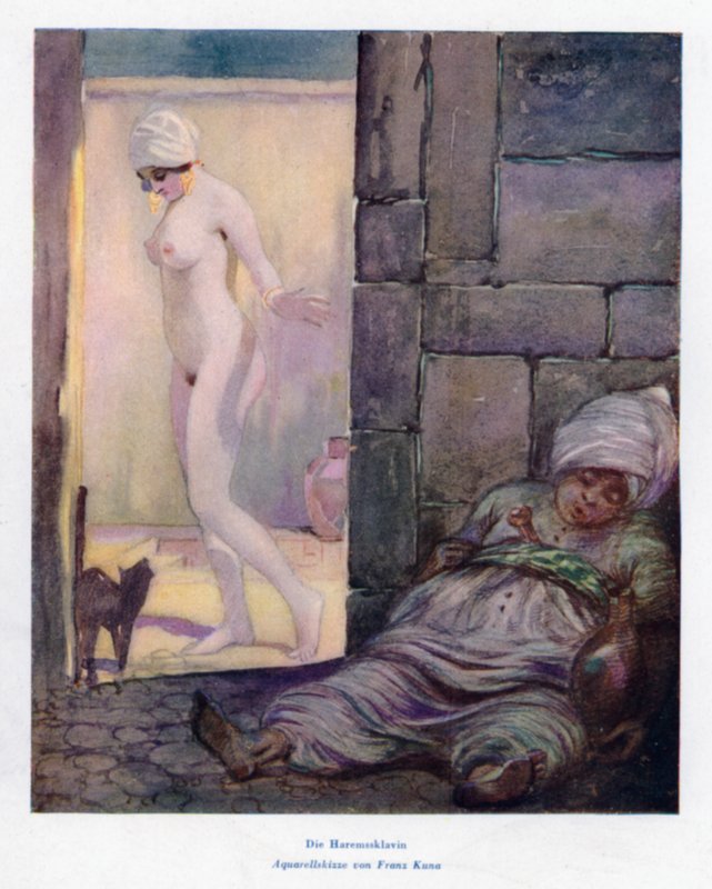 The Harem Slave by European School