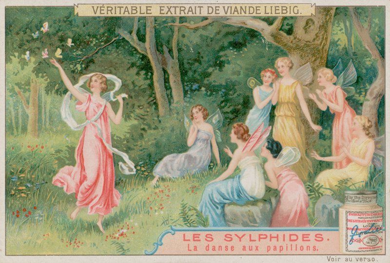 The Sylphs Dance with Butterflies by European School