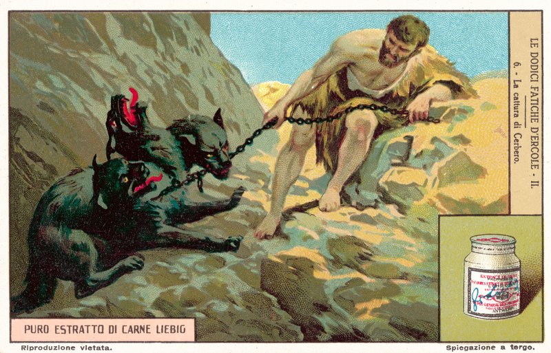The capture of Cerberus by European School