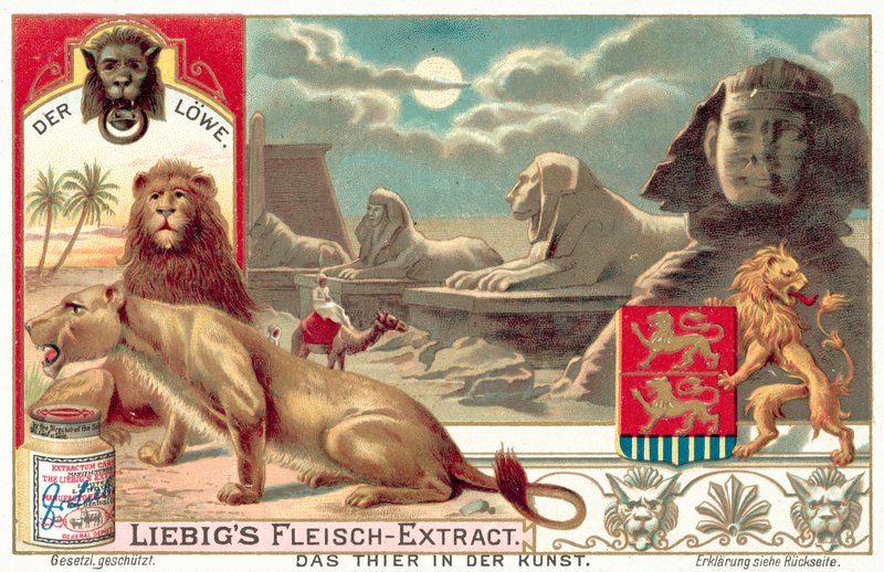 The lion by European School