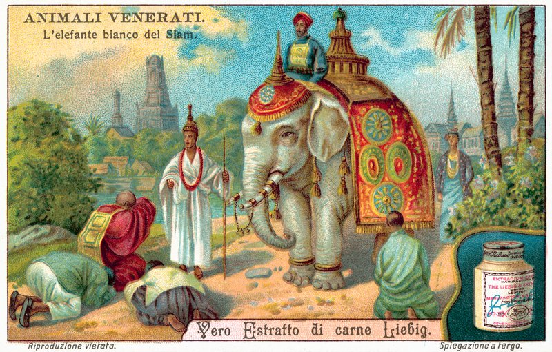The White Elephant of Siam by European School
