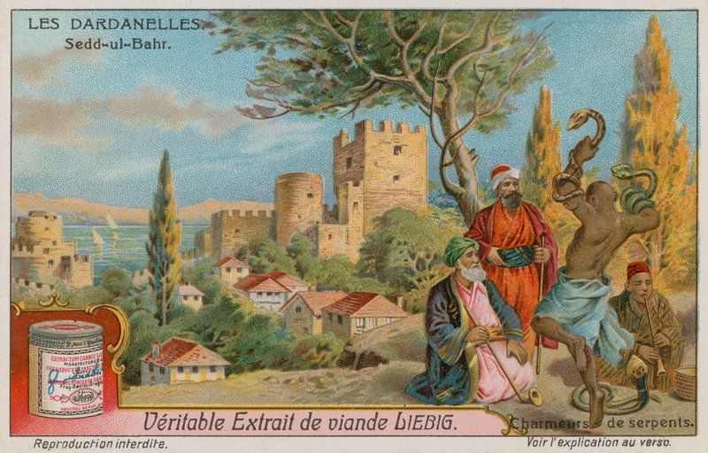 View of Seddulbahir with Snakecharmers by European School