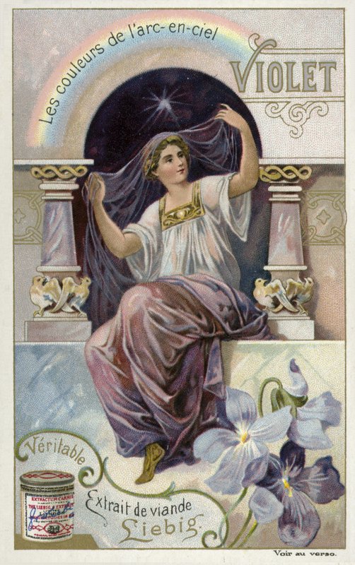Violet by European School