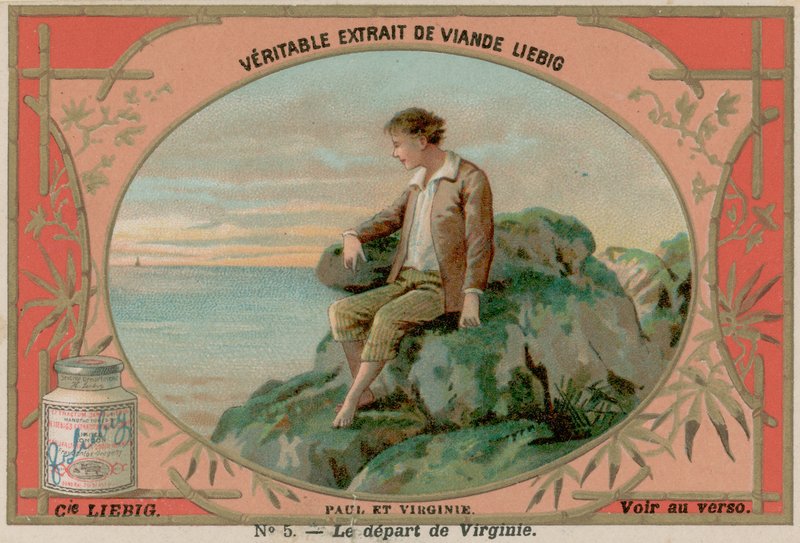 Virginie Leaves by European School