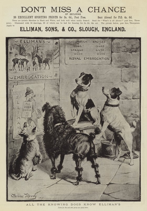 Advertisement, Elliman