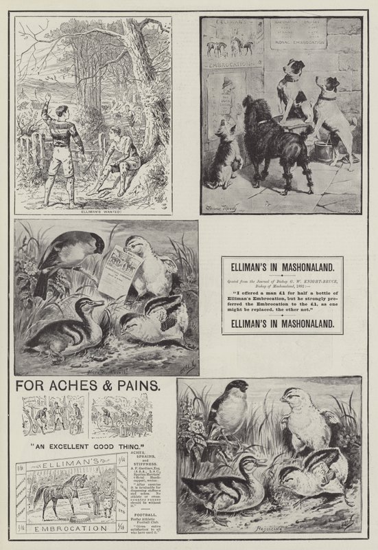 Advertisement, Elliman