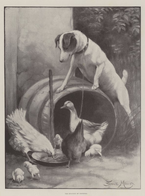 The Eviction of Diogenes by Fannie Moody