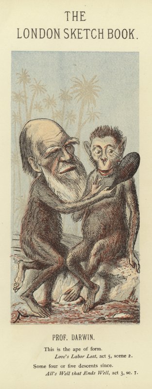 Caricature of Charles Darwin by Faustin