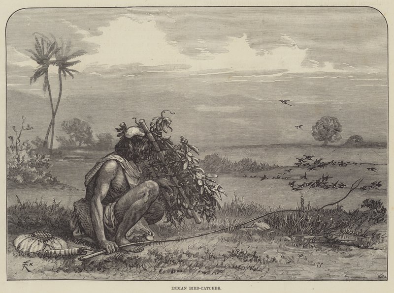 Indian Bird-Catcher by Felix Regamey