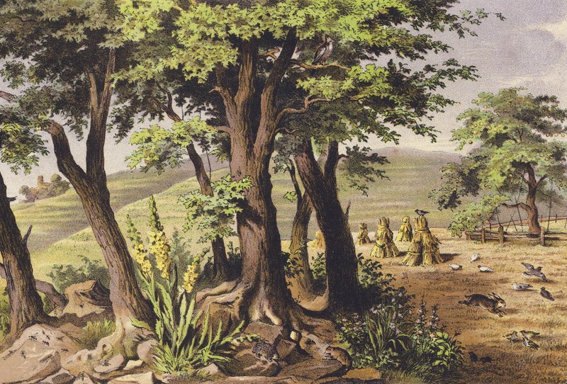 August by Ferdinand Karl Klimsch