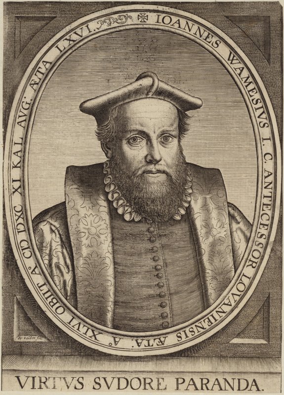 Portrait of Jan Wamesius by Flemish School