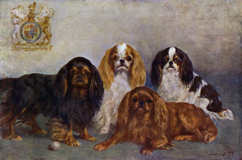 King Charles Spaniels by Frances C. Fairman