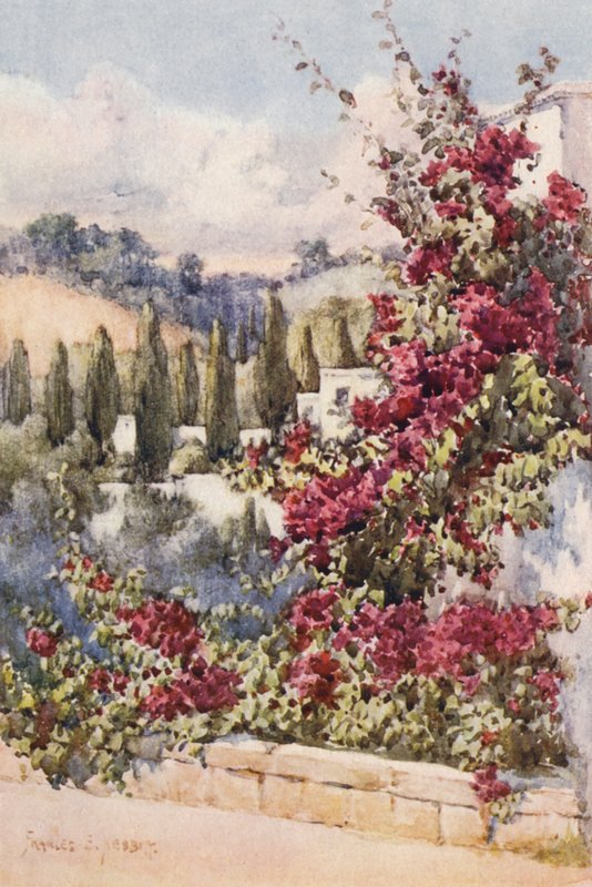 On my Balcony, Algiers by Frances Nesbitt