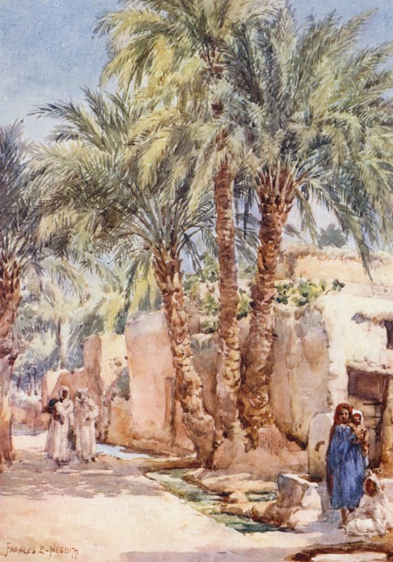 The Palm Village by Frances Nesbitt