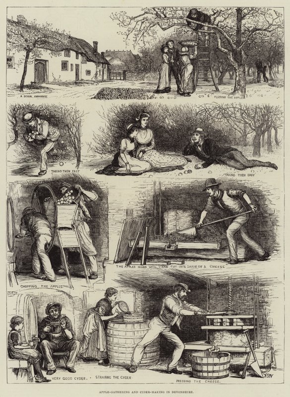 Apple-Gathering and Cider-Making in Devonshire by Francis S. Walker
