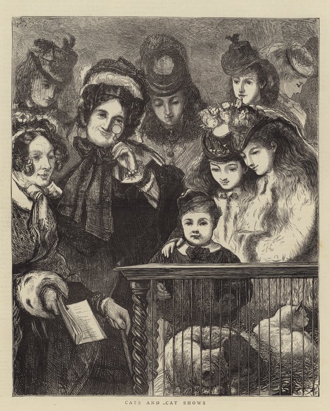 Cats and Cat Shows by Francis S. Walker