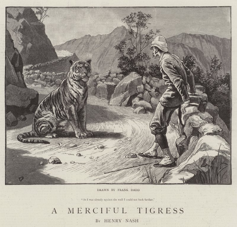 A Merciful Tigress by Frank Dadd