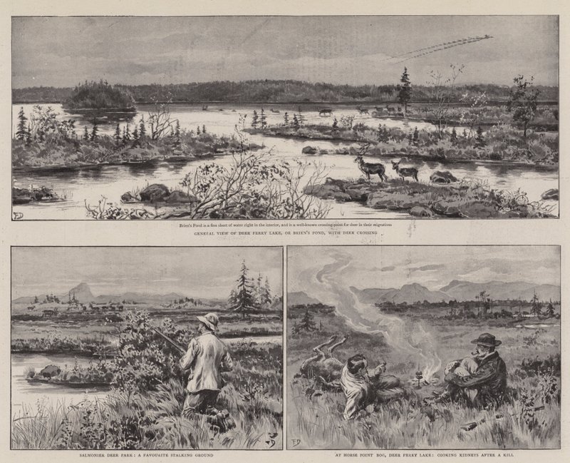 Farming and Sport in Newfoundland by Frank Dadd